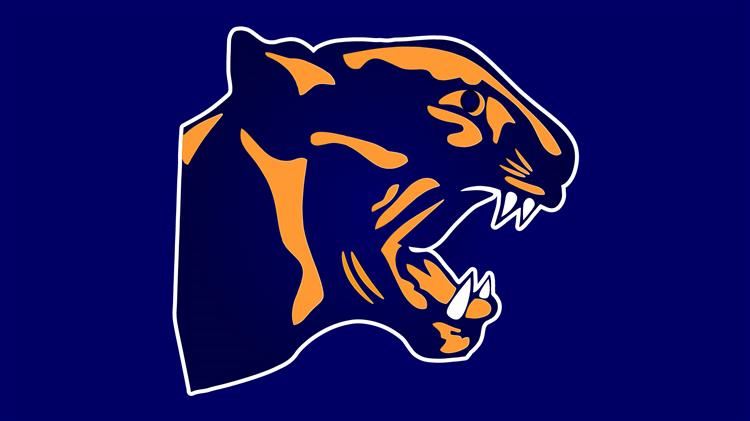 Vintage Panther Background